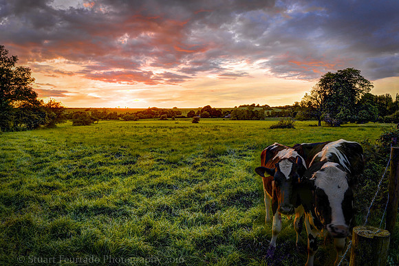 _DSC3033HDR