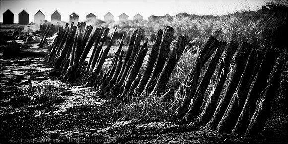 _DSC0703-Edit