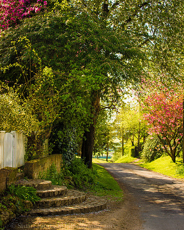 Easington Lane 2