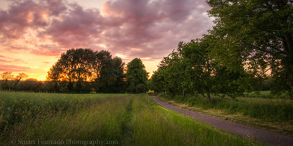 _DSC3046HDR-Edit