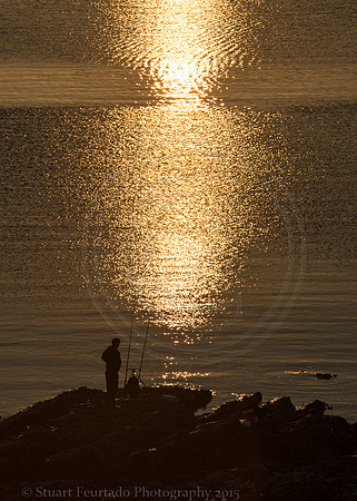 _DSC2104
