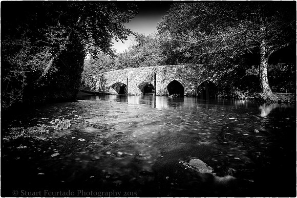 _DSC1985-Edit-2