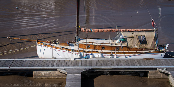 _DSC1755