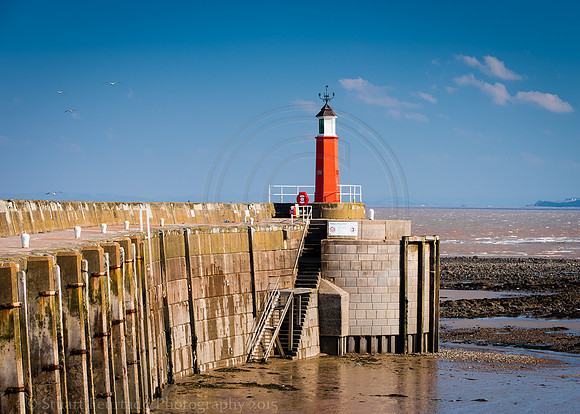_DSC1776