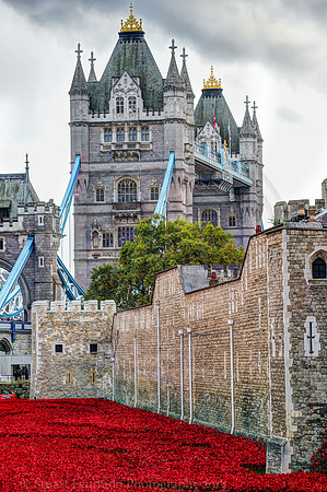 Tower of London WW1 Memorial 18