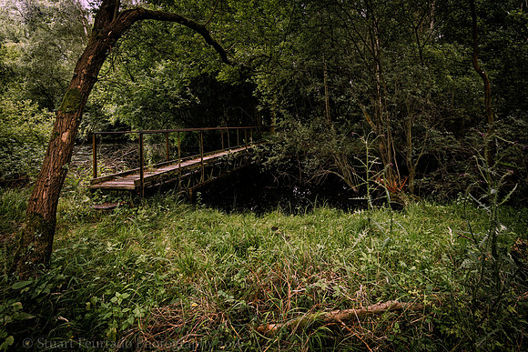 _DSC4795-Edit