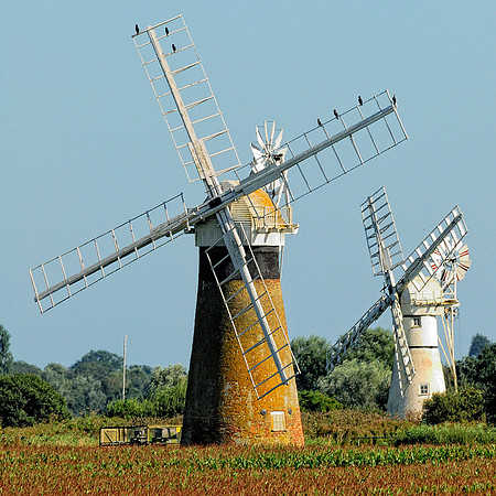 Norfolk Broads mills