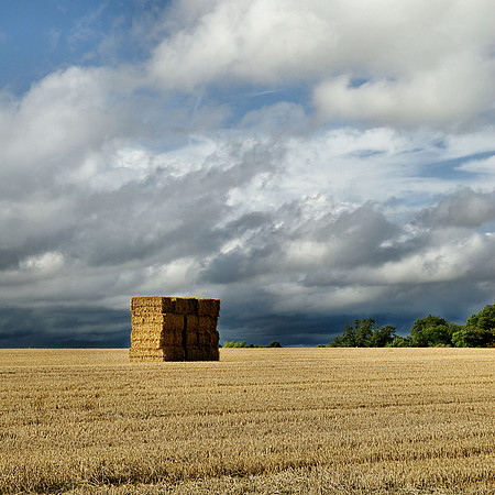 After the harvest