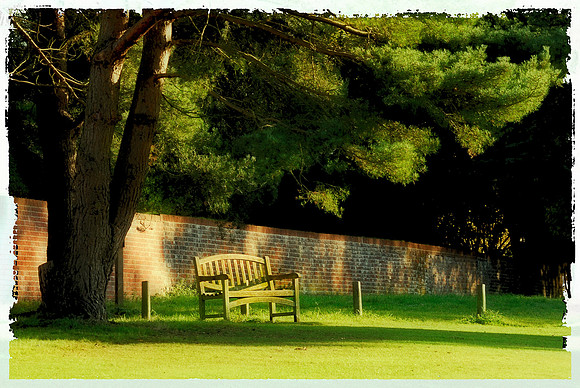 A quiet place