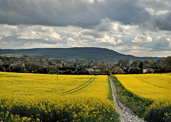 Chiltern spring