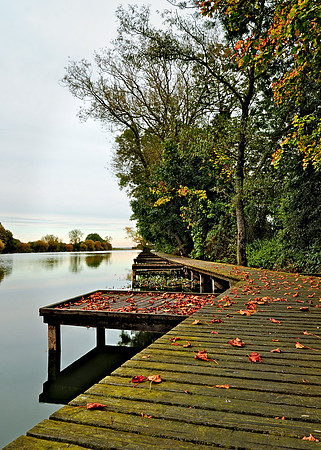 Clattercote Reservoir boardwalk