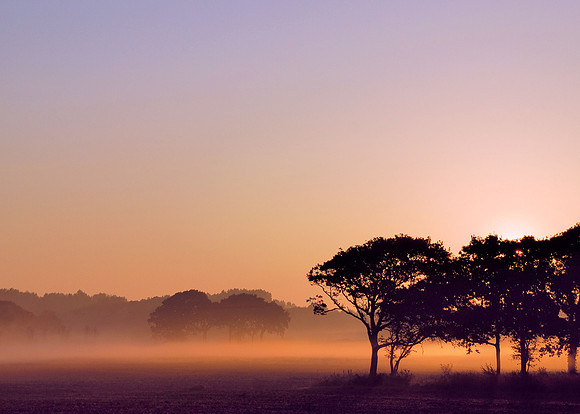 Grand Trecalin dawn