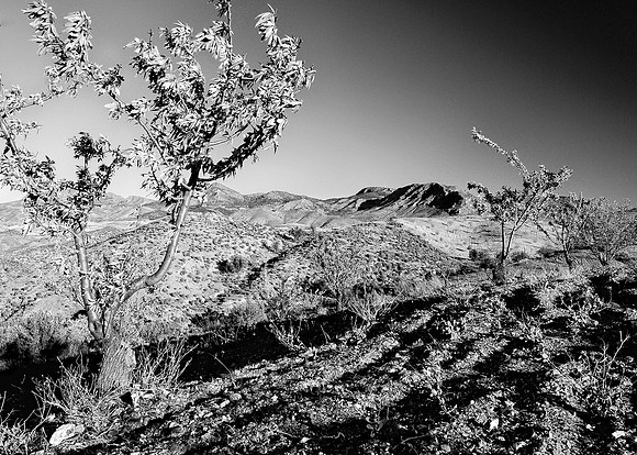 High plains