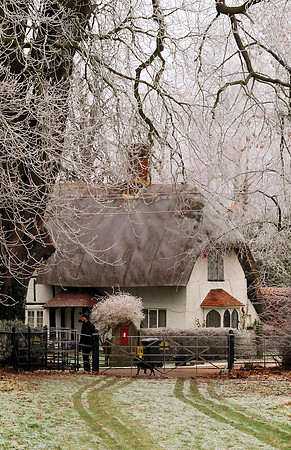 Horsenden In Frost