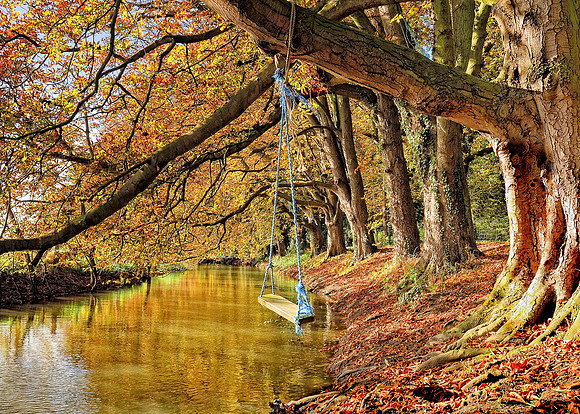 Swing over the River Thame