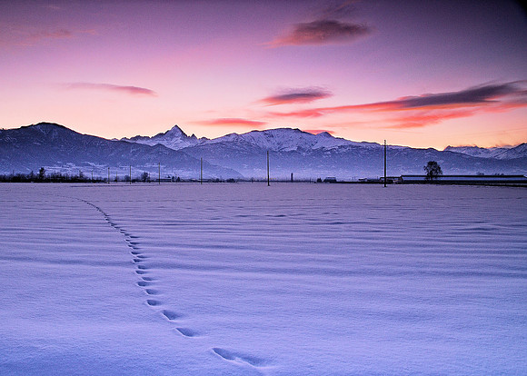 Tracks to Mon Viso