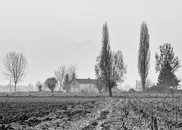 Via Sprina farmhouse monochrome