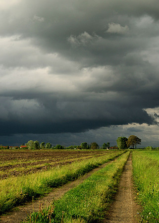 Under Leaden Skies