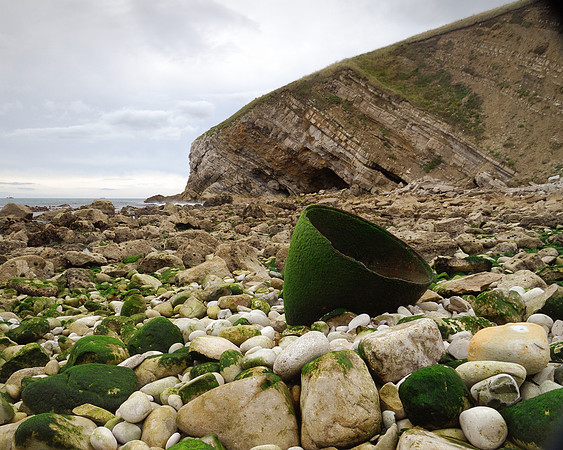 Shell on the sea shore