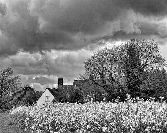The Lions at Bledlow monochrome