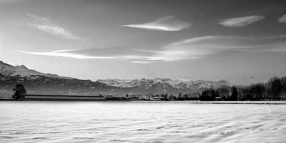 Snow field