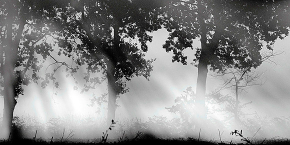 Filtered light