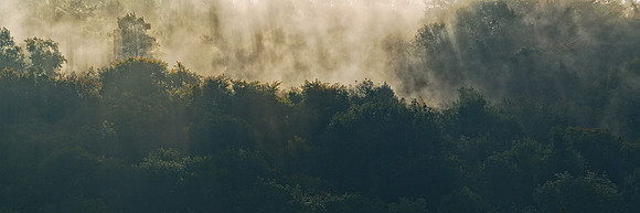 Hillock Wood autumn fog