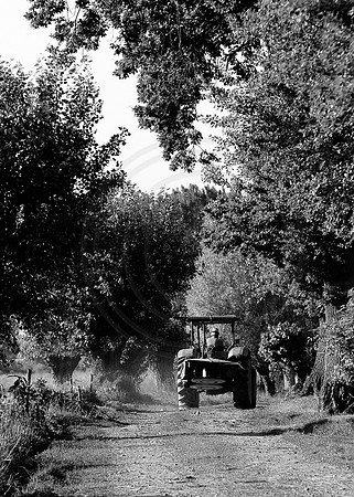 Going home monochrome