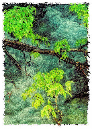 River abstract