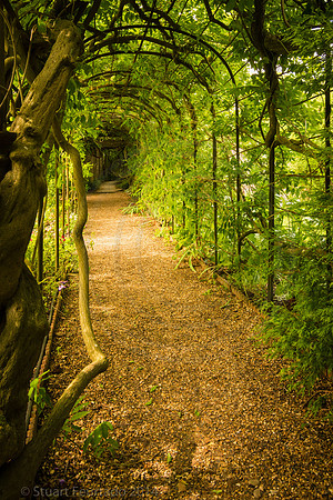 Greys Court (27)