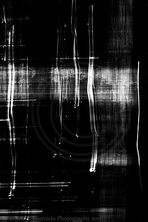 DSC_0637-Edit