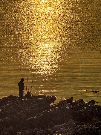 Fishing in gold