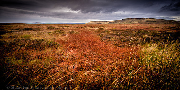 _DSC4280-Edit