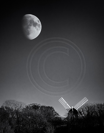 Rising moon