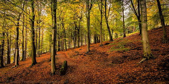 _DSC4337-Edit