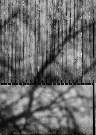 Shadow