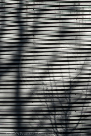 Shadow