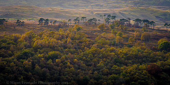 Wensleydale 5