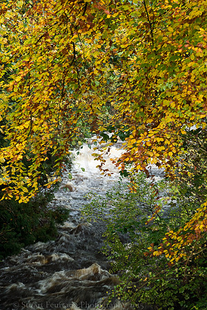 Clapham Beck 4
