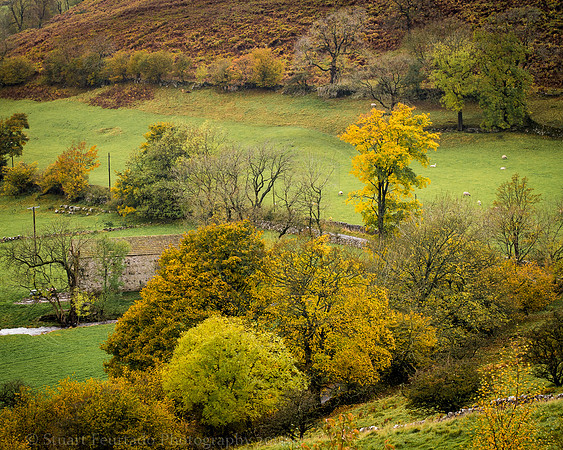 Wensleydale 2