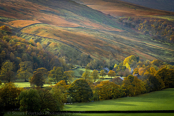 Wensleydale 6