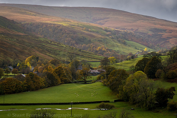Wensleydale 3