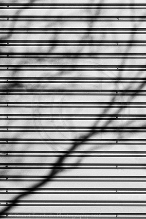 Shadow