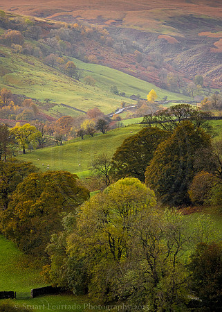 Wensleydale 4