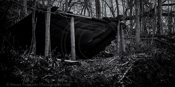 A place in the woods 2