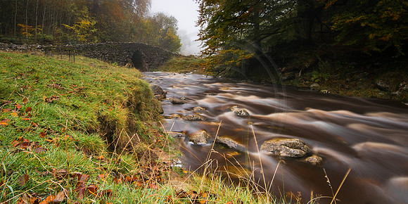 Beck Head 2