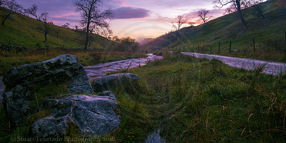 Clapham Beck 2