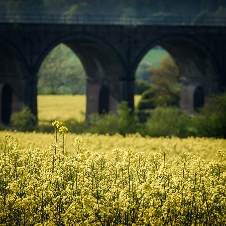 Ahyno Viaduct 2