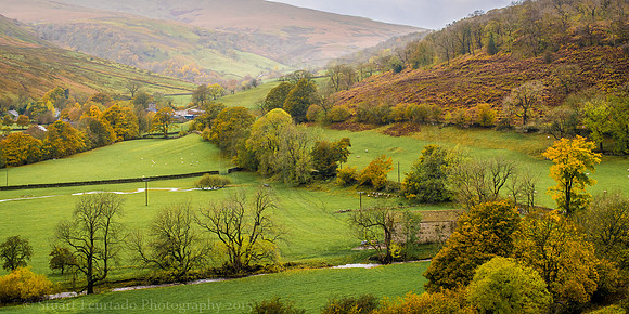 Wensleydale 1