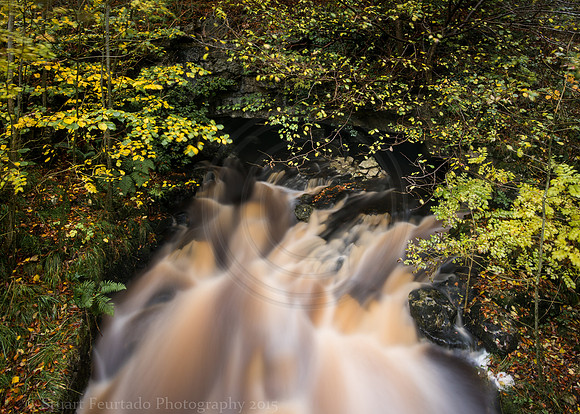 Beck Head 1